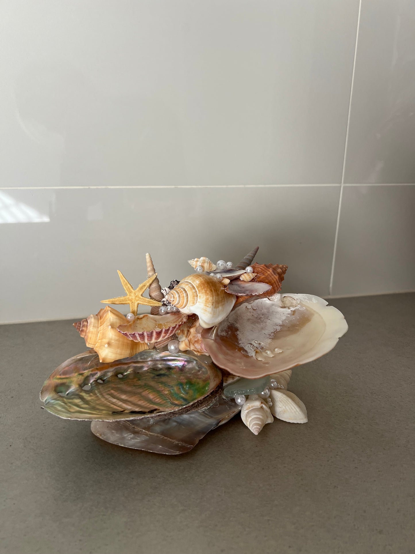 shell jewelry holder
