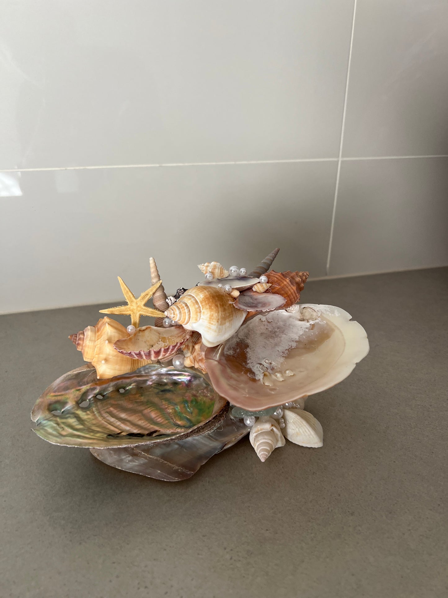 shell jewelry holder