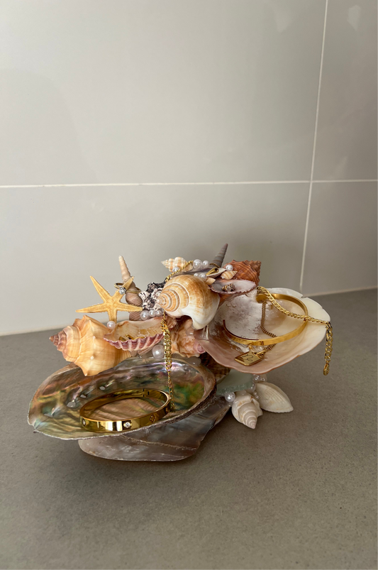 shell jewelry holder