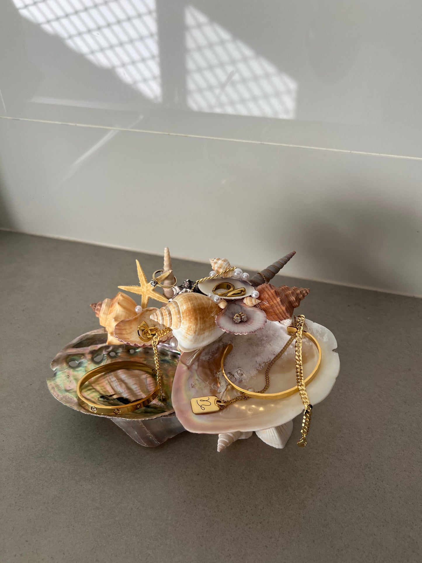 shell jewelry holder